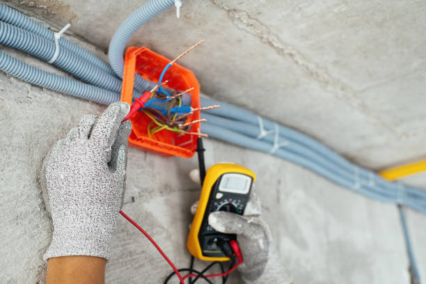 Best Electrical System Inspection  in Cudjoe Key, FL